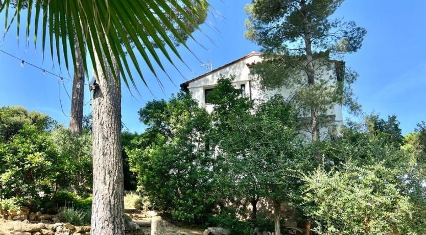 Photo of Casa Blue Art