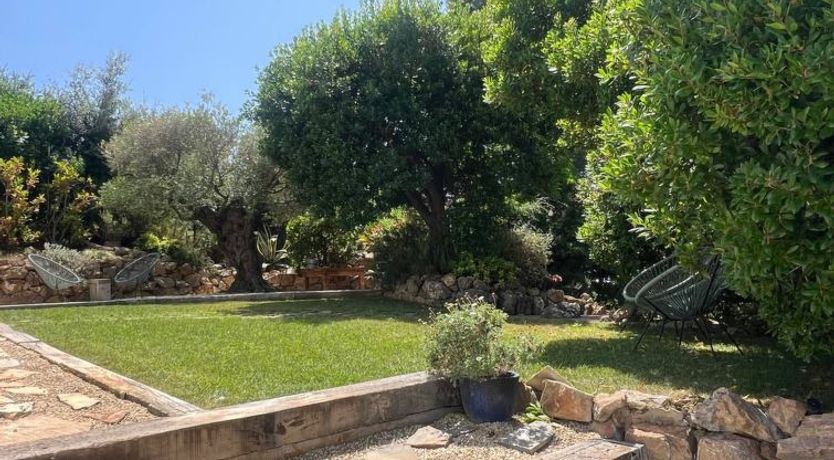 Photo of Casa Blue Art