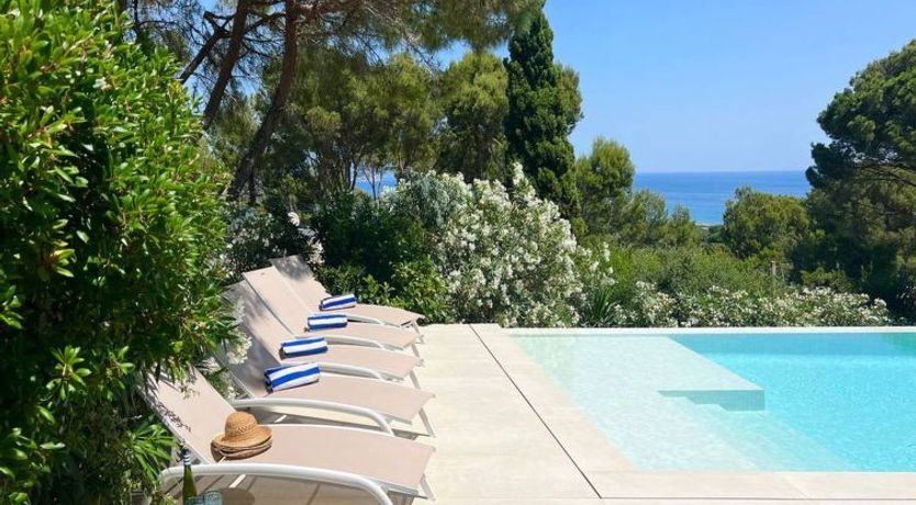 Photo of Casa Blue Art