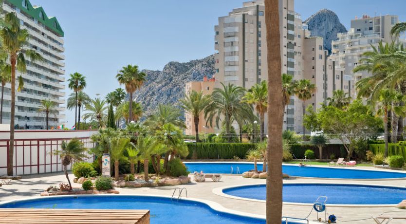 Photo of Coral Beach Apartment 5