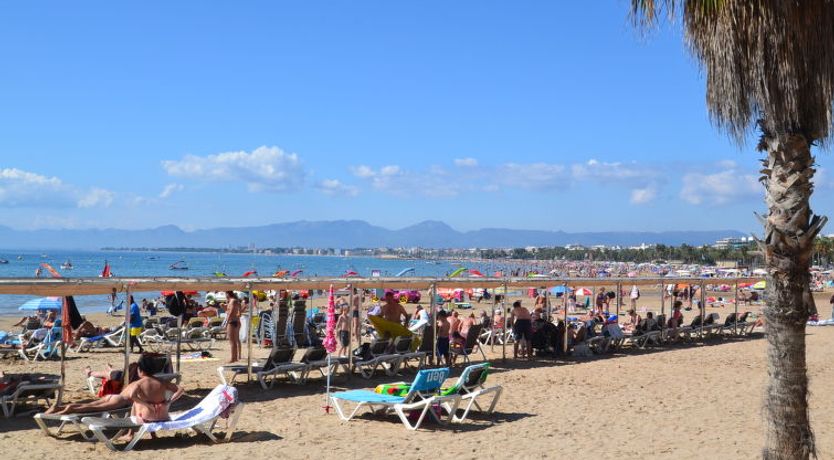 Photo of Michelangelo 1