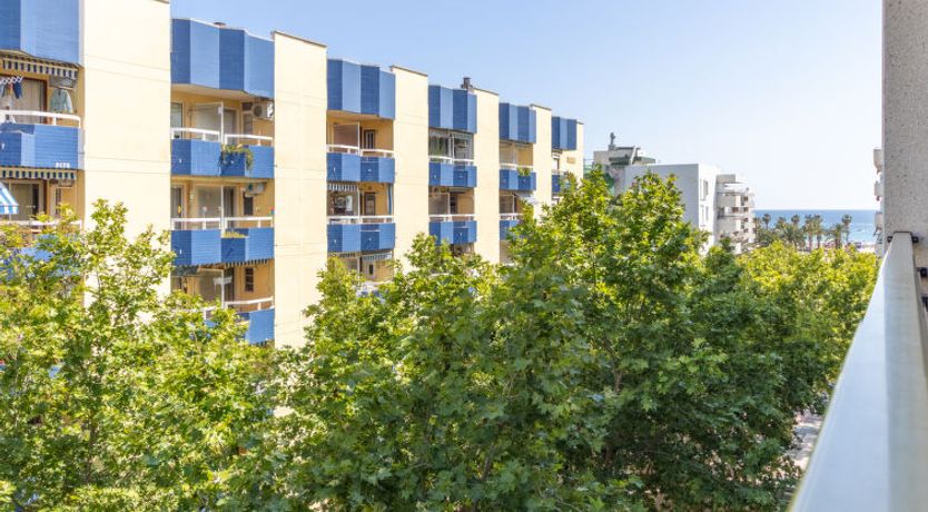 Photo of Michelangelo 1