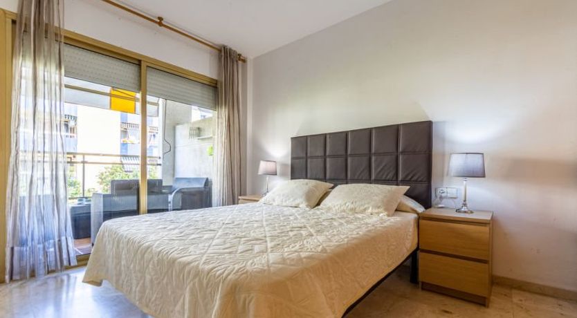 Photo of Michelangelo 1