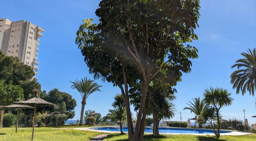 Photo of Pintor Sorolla Apartment 2