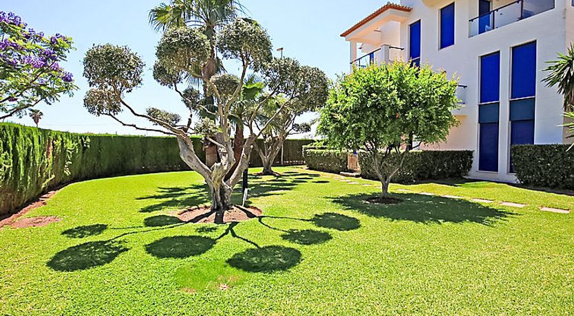 Photo of Alma del Sol