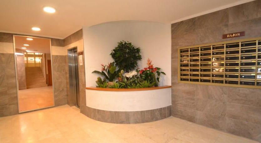 Photo of Michelangelo Apartment 2