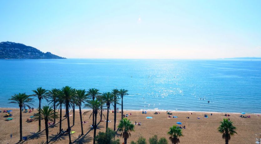 Photo of Port Canigó Apartment 8