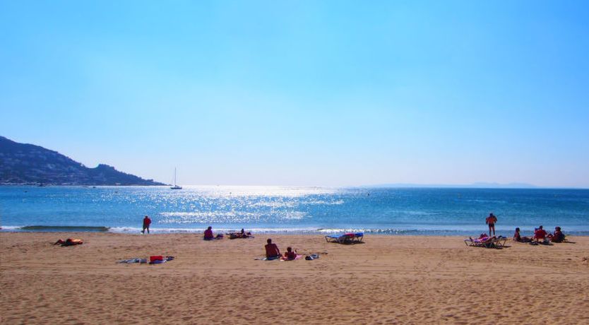 Photo of Port Canigó Apartment 8