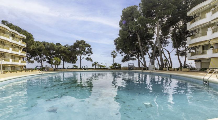 Photo of International Apartment 3