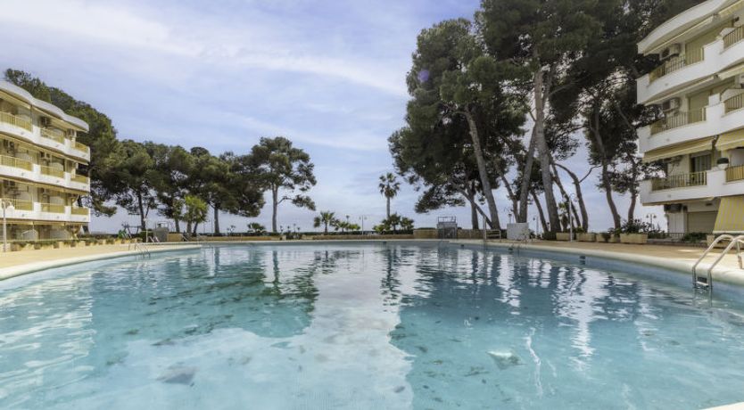 Photo of International Apartment 3