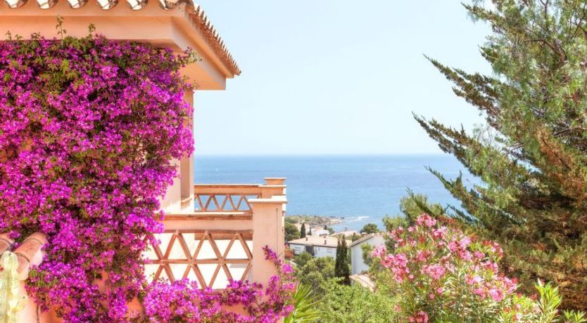 Photo of Niviroma