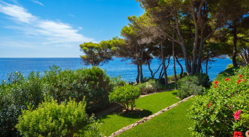 Photo of Finca L'Embat