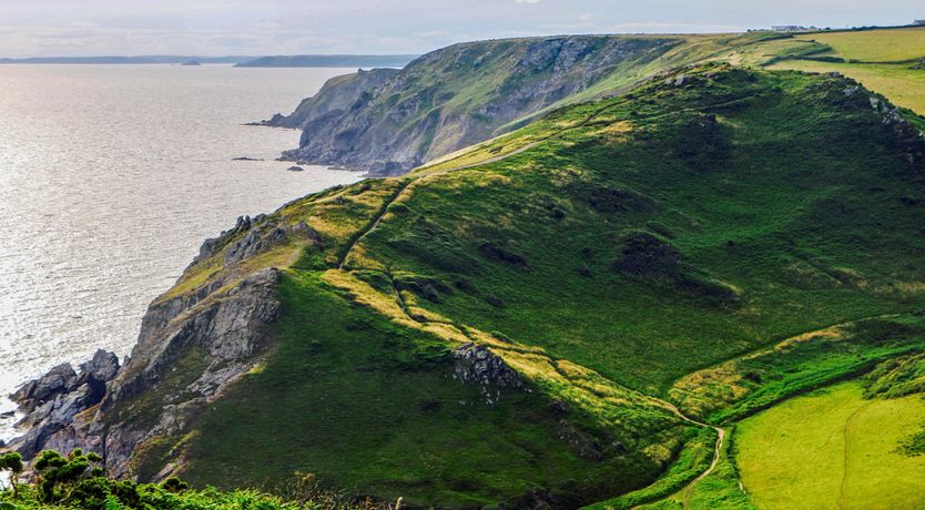 Photo of Rose Thatch