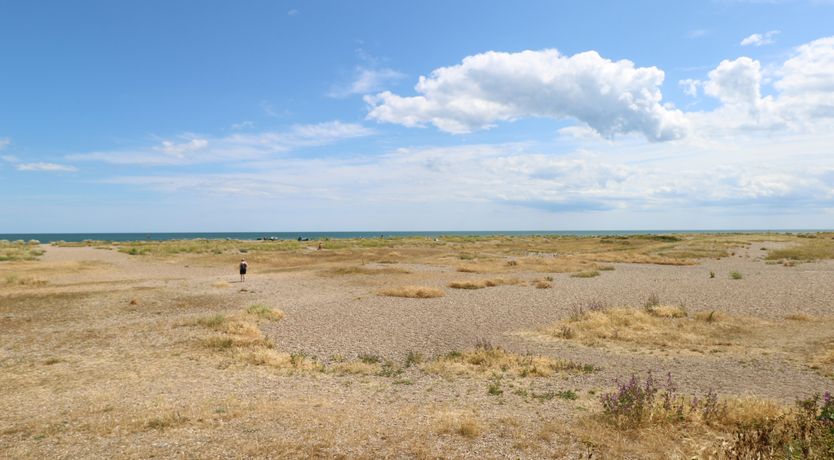 Photo of Dolly's Lookout