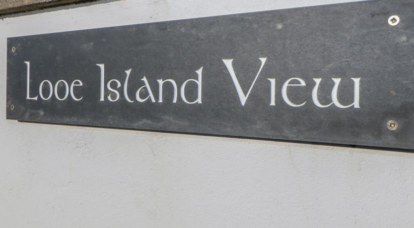 Photo of Looe Island View