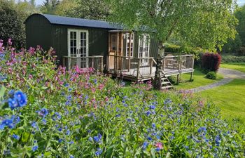 Mucklewick Hollow Holiday Cottage