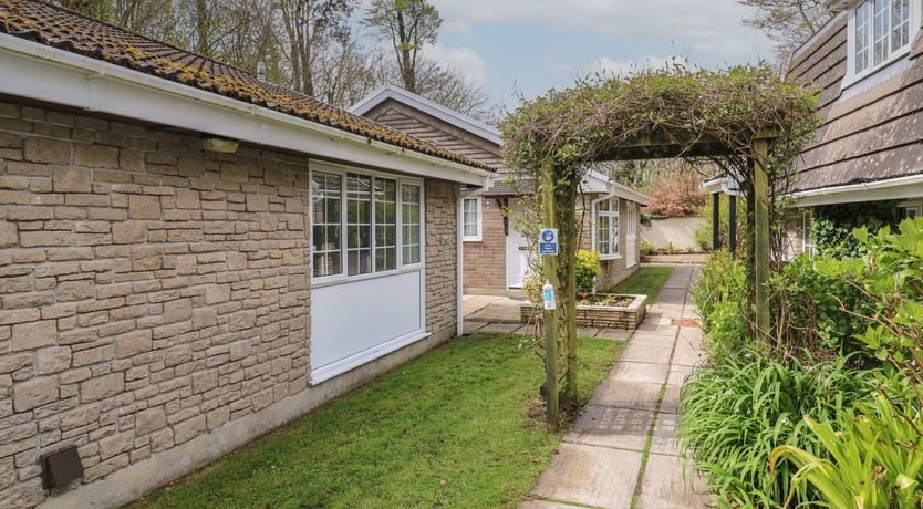 Photo of Badger Sett in Granite Henge near Looe