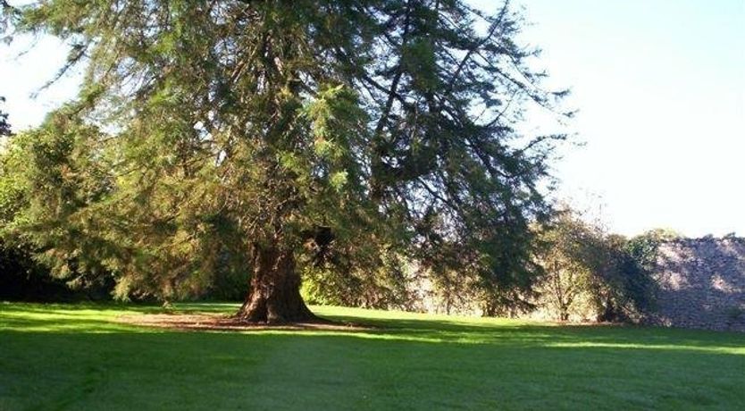 Photo of Killaghy Castle