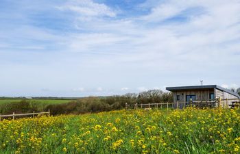 Cottage in North Cornwall Holiday Cottage