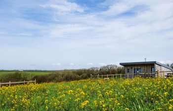 1 Bed in Bude Holiday Cottage