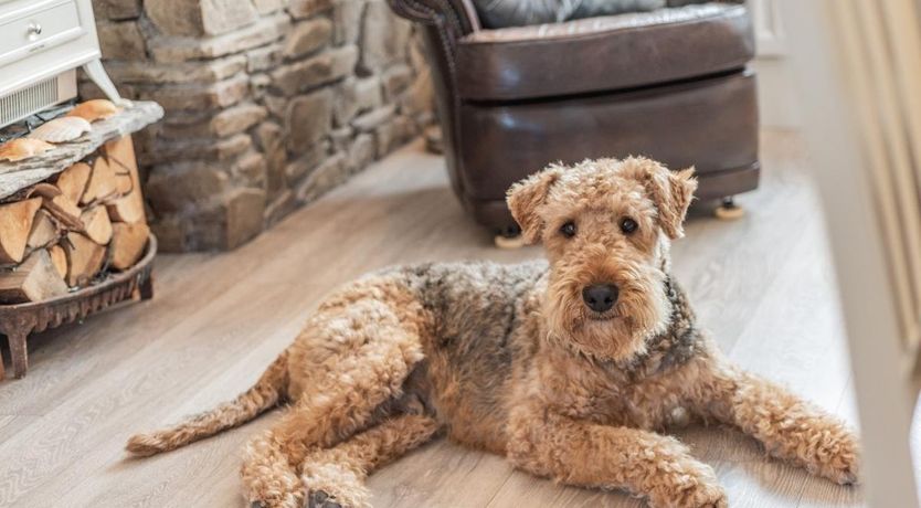 Photo of 5 Bed in Mortehoe