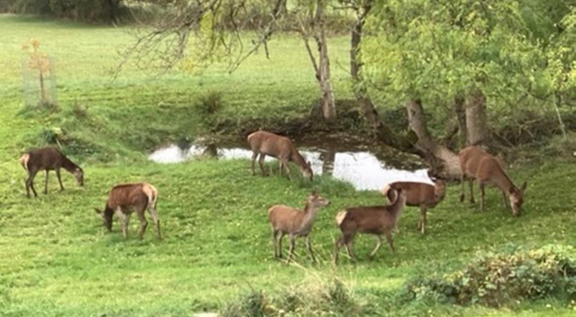 Photo of 1 Bed in Chepstow
