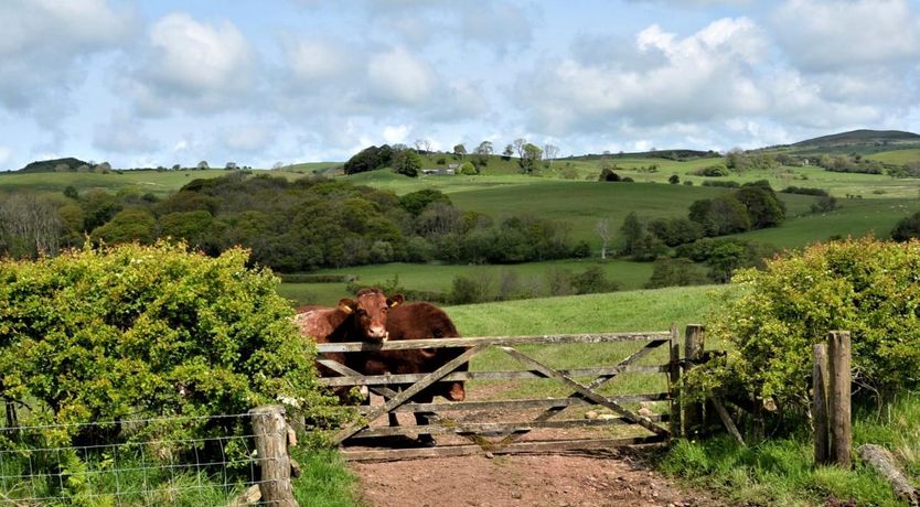 Photo of 1 Bed in Kinniside