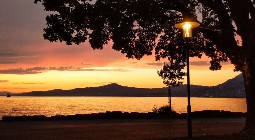 Photo of Cozy Swiss Riviera Getaway 