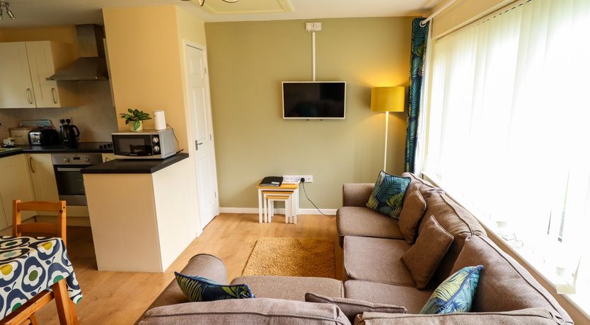 Photo of 11 The Dell