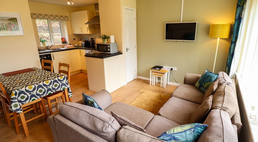 Photo of 11 The Dell