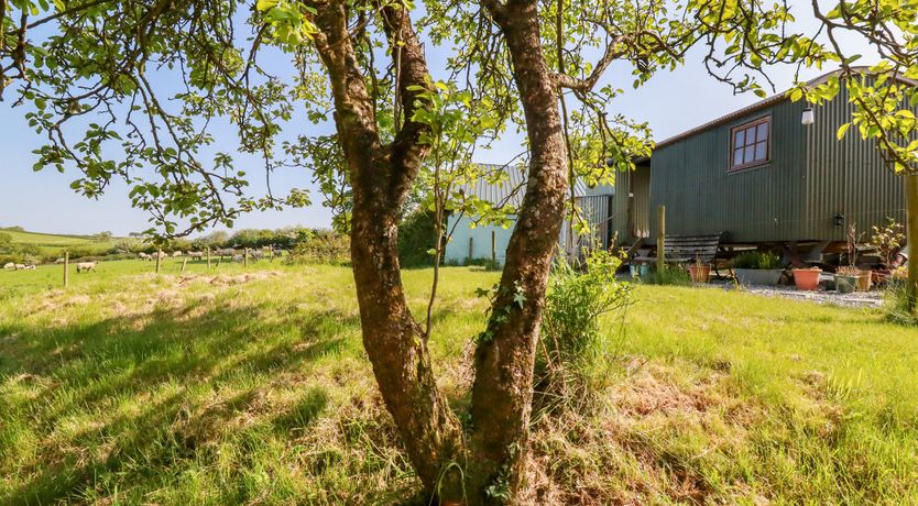 Photo of Puddle Duck Shepherds Hut
