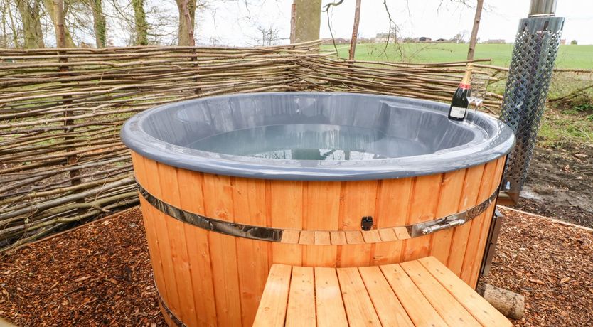 Photo of Bracken Fern