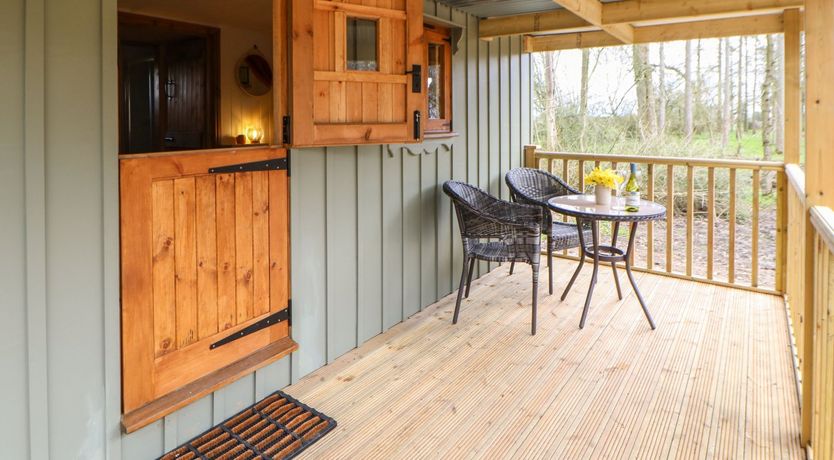 Photo of Bracken Fern