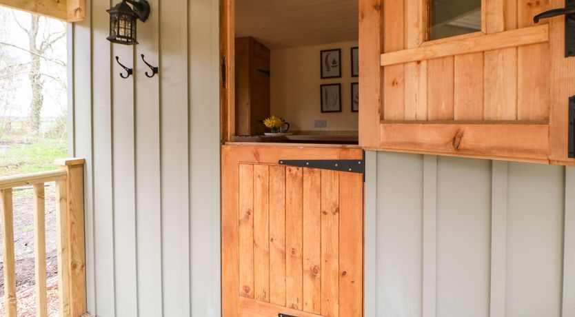 Photo of Bracken Fern