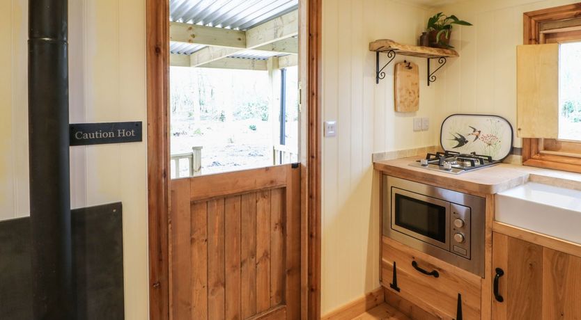 Photo of Bracken Fern