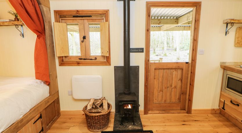 Photo of Bracken Fern