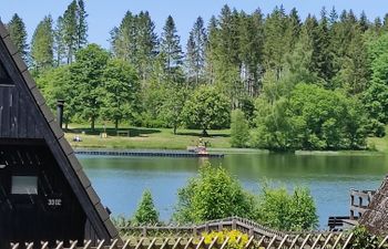 Hexenhaus im Harz Holiday Home