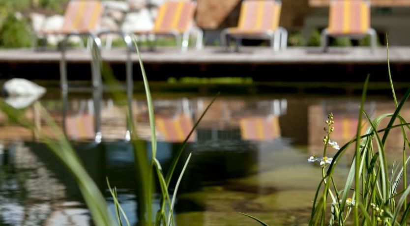 Photo of mit 1 Schlafzimmer für 6 Personen Apartment 5