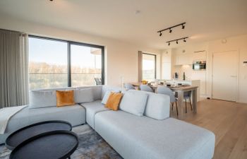 One with terrace and dune view Holiday Home