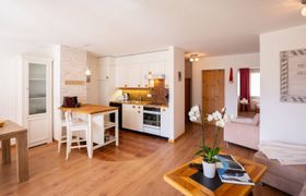 Chesa Piz Cotschen 3 Apartment 3 Holiday Home