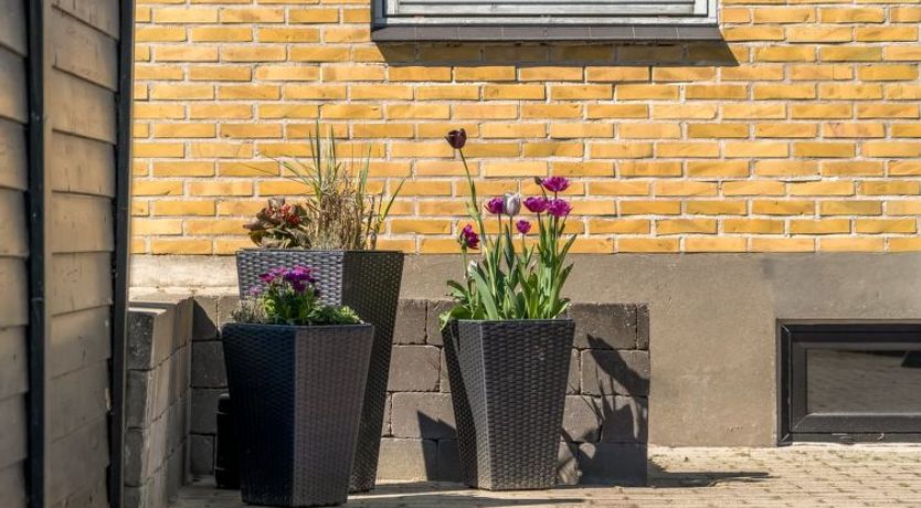 Photo of "Nayeli" - 275m from the sea