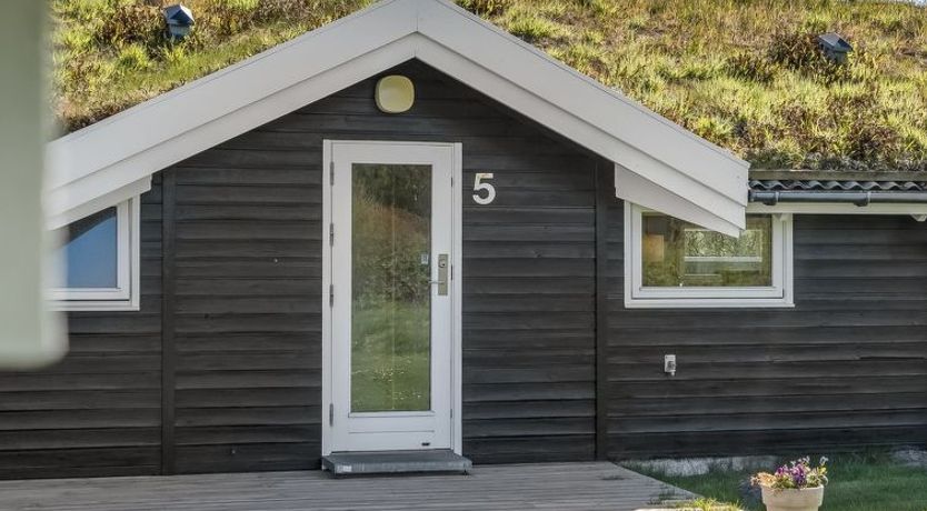 Photo of "Eddi" - 550m from the sea