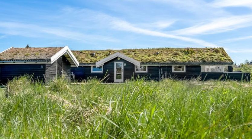 Photo of "Eddi" - 550m from the sea