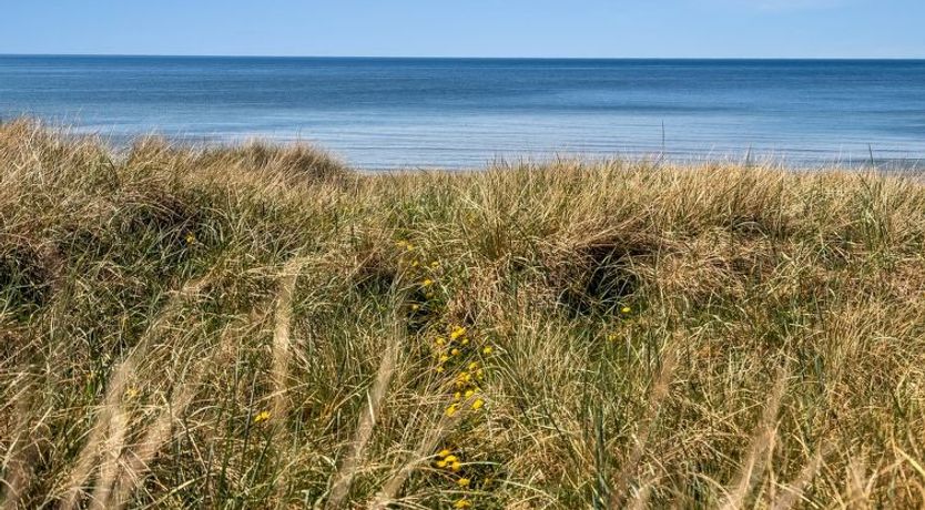Photo of "Guthfrith" - 100m from the sea