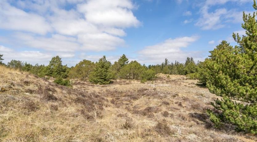 Photo of "Absolon" - 1.5km from the sea