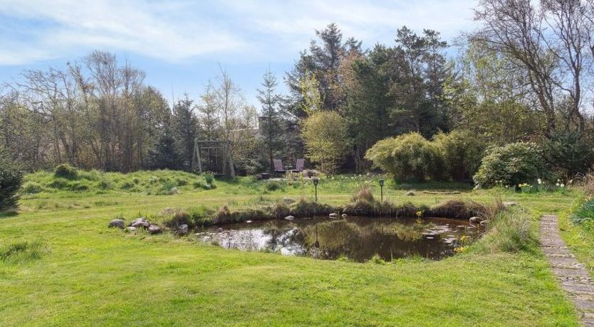 Photo of "Sune" - 500m from the sea