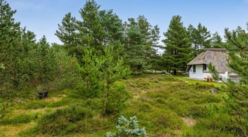 Photo of "Lilo" - 1km from the sea