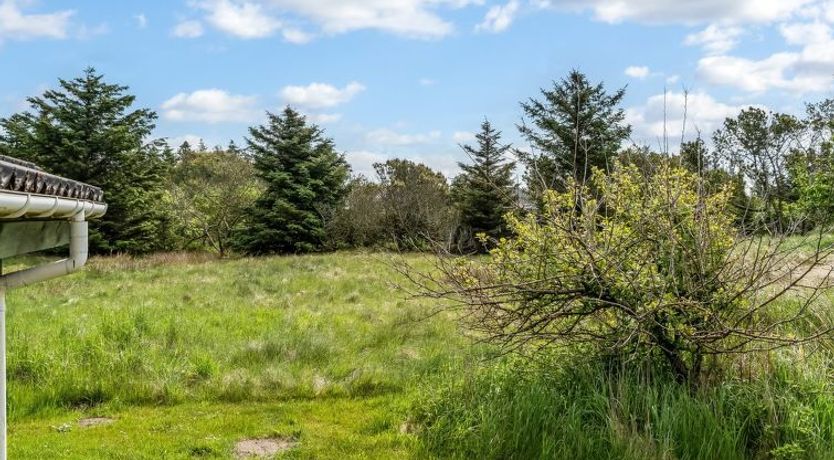 Photo of "Aponi" - 400m from the sea