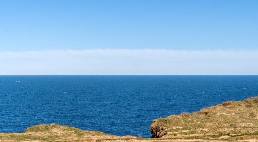 Photo of "Asger" - 50m from the sea