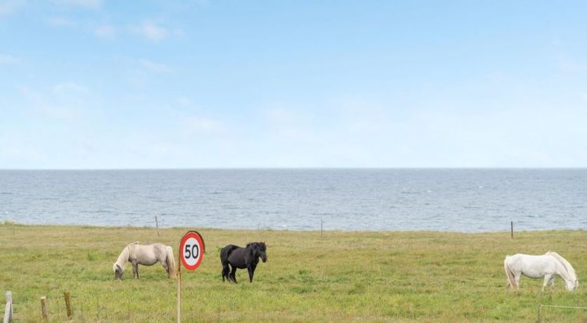 Photo of "Adrian" - 200m from the sea